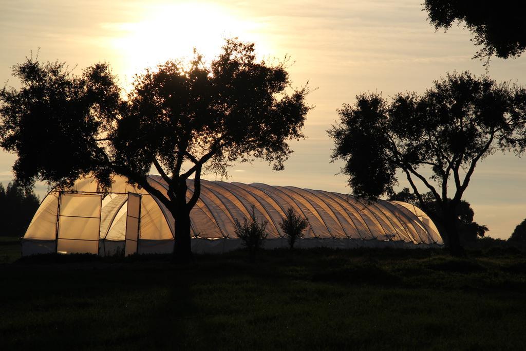 Refugio Das Origens Villa Ermidas Eksteriør billede